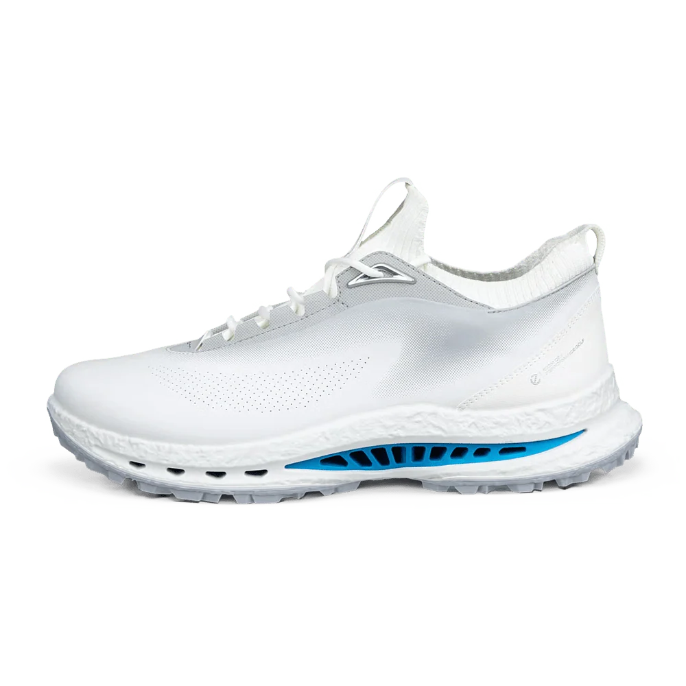 Ecco Men's Biom C5 GTX Golf Shoes